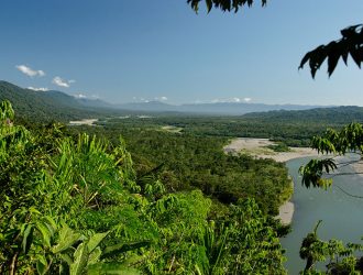 Национальный Парк Ману: «Природное Убежище» 🏞