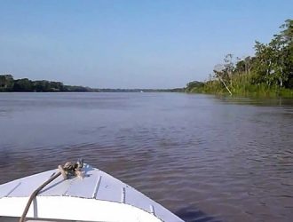 Река Укаяли: «Дающая Жизнь Амазонке»🐠