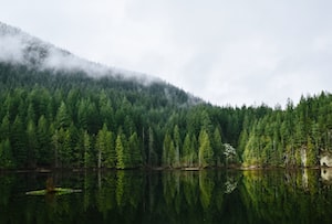 Фото Ванкувера №4